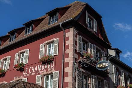 Le lièvre à la royale - Le Chambard